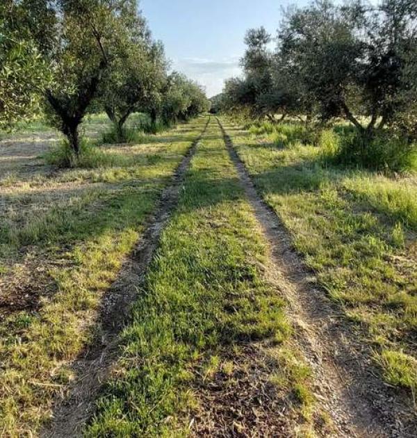 Hoofdfoto Cascina Cliternia