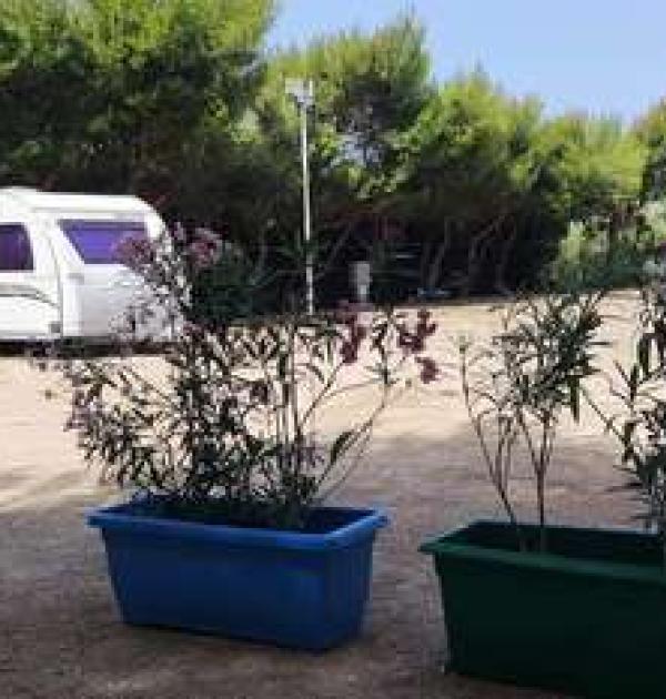 Hoofdfoto Area sosta camper Baia d'argento
