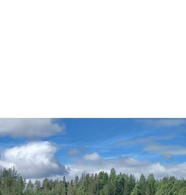 Hoofdfoto Lutufallet rastplats