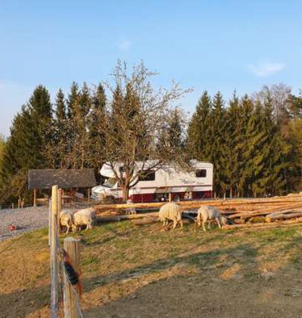 Hoofdfoto Wohlfuehloase am Trausdorfberg