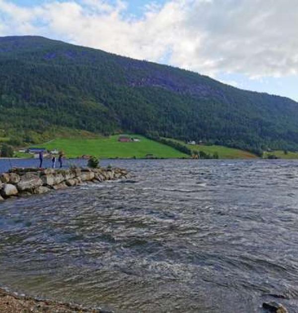 Hoofdfoto Hornindal Vasspark