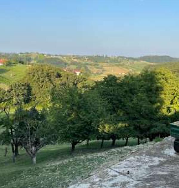 Hoofdfoto Vinogradništvo Mulec