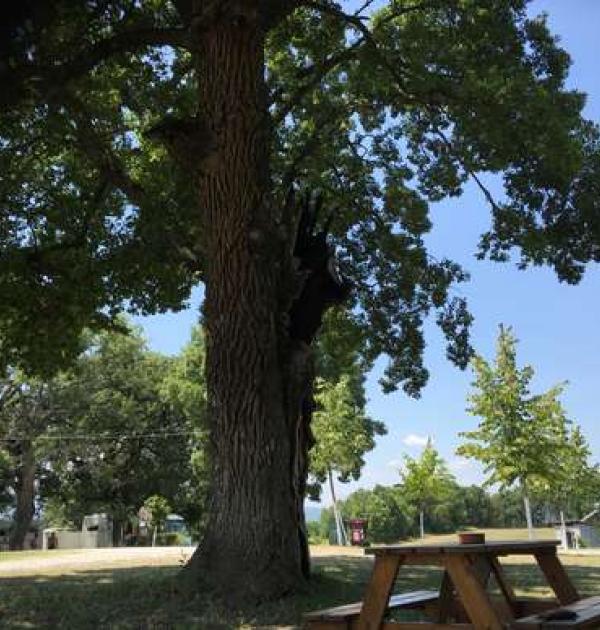 Hoofdfoto St Athanasios Park