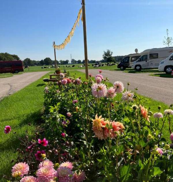 Hoofdfoto Camperplaats de Hoge Valk