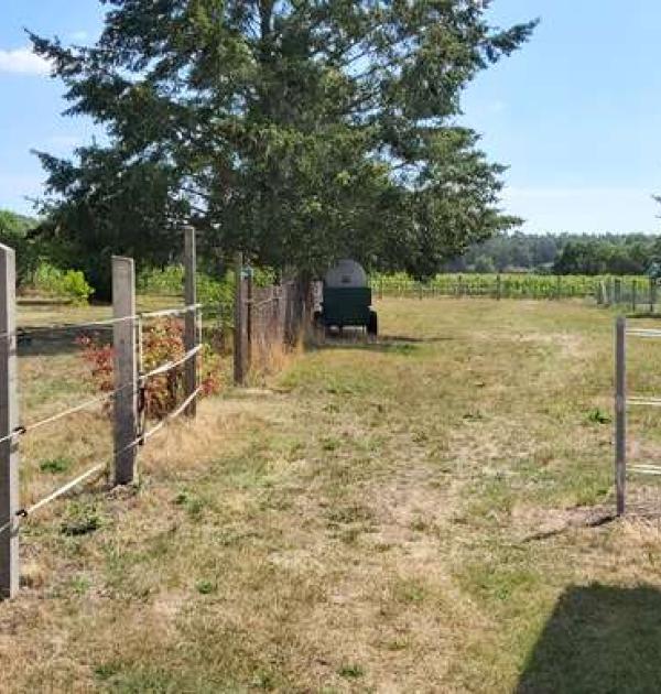 Hoofdfoto Camperplaats Kalbe