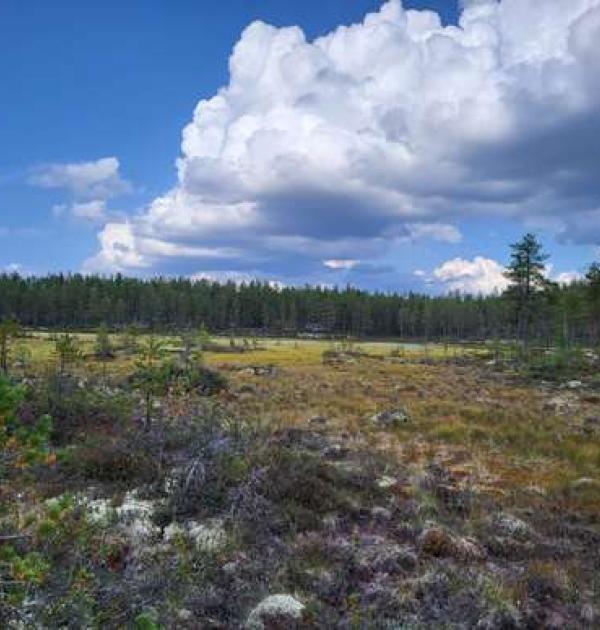 Hoofdfoto Østby