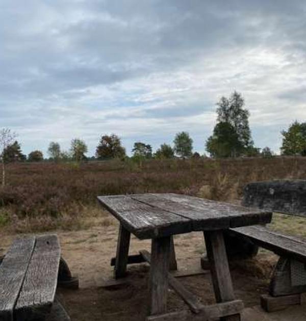 Hoofdfoto Parkplatz Osterheide