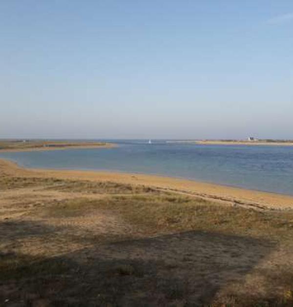 Hoofdfoto Camping Municipal de la Barre