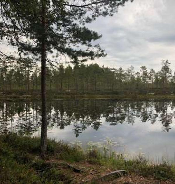 Hoofdfoto Sunnansjö