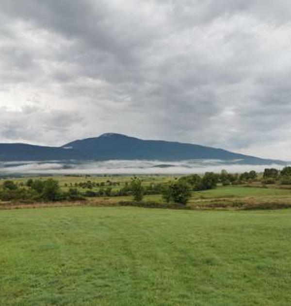 Hoofdfoto Natur Camp