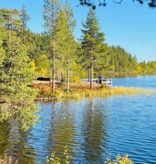 Hoofdfoto Torne-Centralvägen
