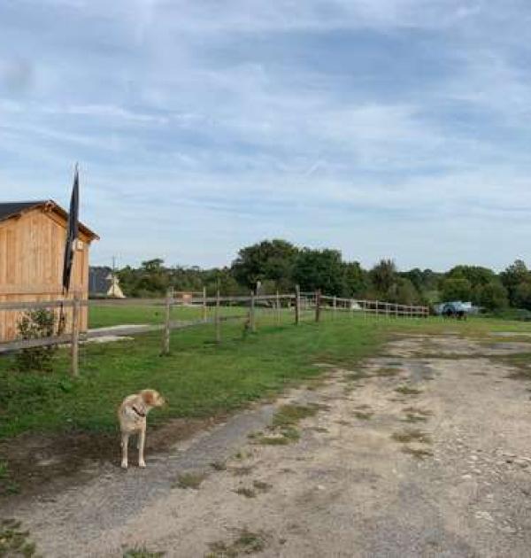 Hoofdfoto Camping à la ferme