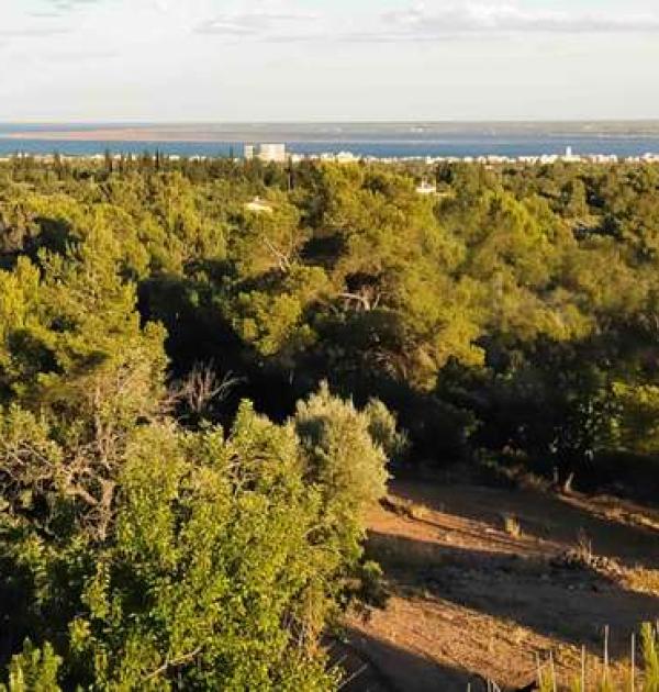 Hoofdfoto Finca Mialma
