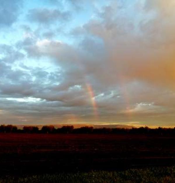 Hoofdfoto Azienda Agricola