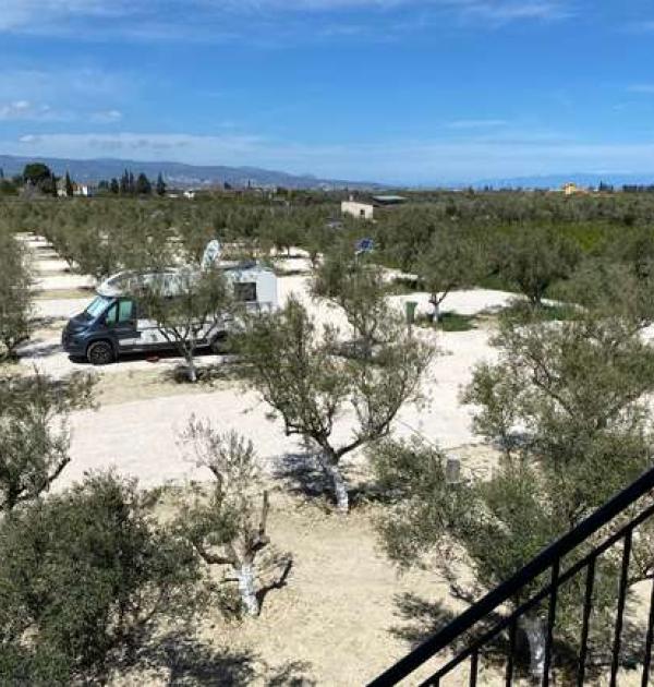 Hoofdfoto Camperstop Olivetree