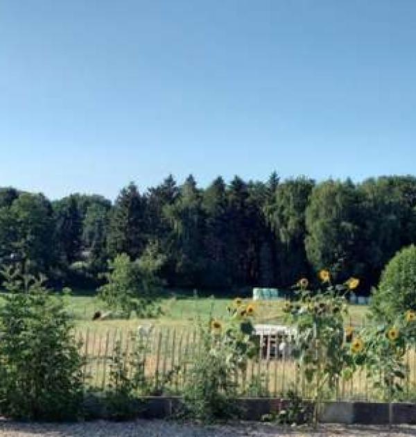 Hoofdfoto Lindenhof-Kreativ