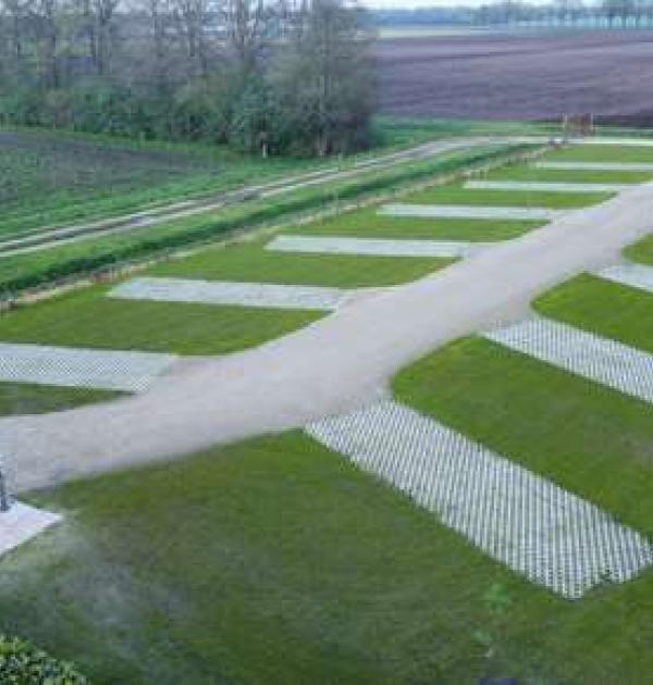 Hoofdfoto Camperplaats De Schoapswei
