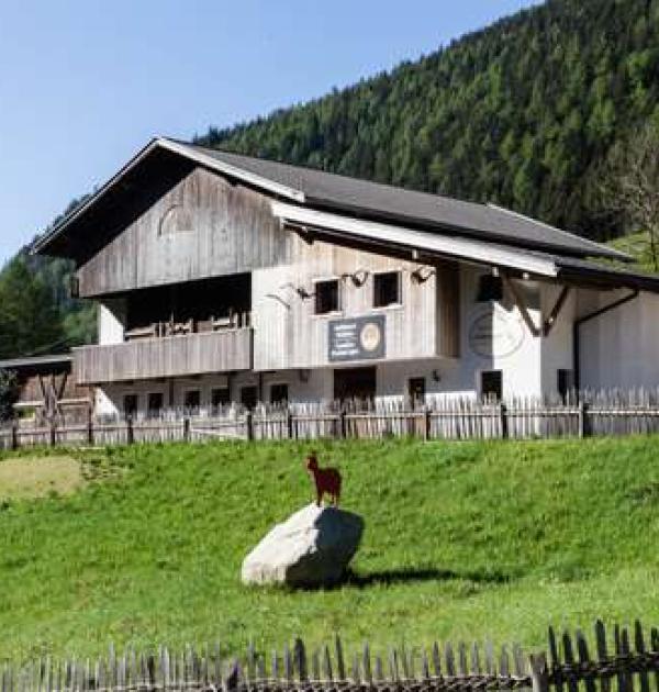 Hoofdfoto Ziegenhof Unteregger