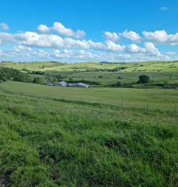 Hoofdfoto Thick Withins Farm Aire