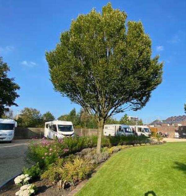 Hoofdfoto Camperplaats Calmante