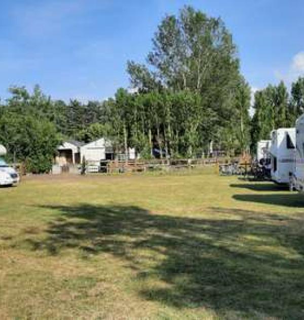 Hoofdfoto Stal Tillegem