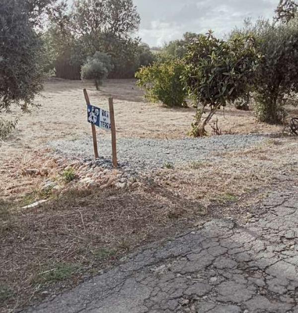 Hoofdfoto Rés da terra, Funcheira