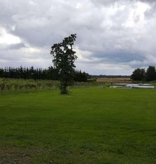 Hoofdfoto Landidylle am Weinberg