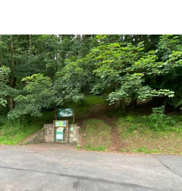 Hoofdfoto Parking Ravendale Forest