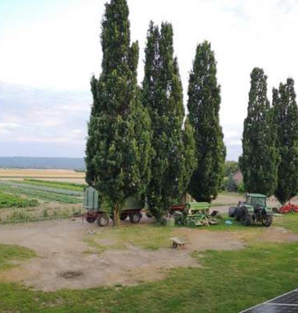 Hoofdfoto Bauernhof Giesecke