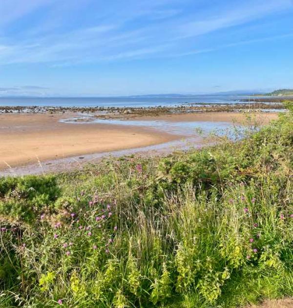 Hoofdfoto Seabreezes Caravan Park