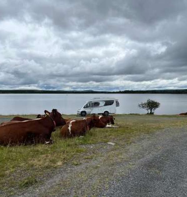 Hoofdfoto Rensennvatnet
