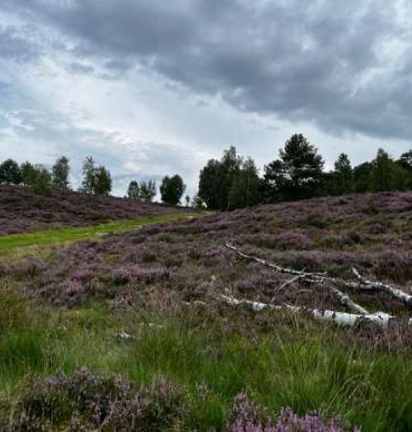 Hoofdfoto Wohnmobilstellplatz am Waldbad