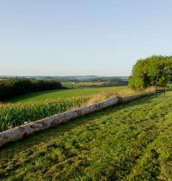 Hoofdfoto Weitblick