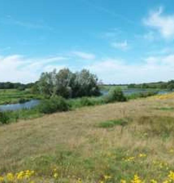 Hoofdfoto Camperplaatsen aan de Vecht