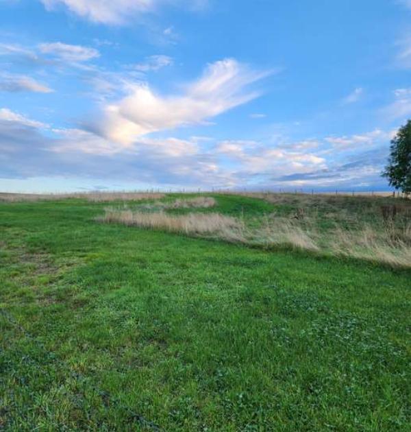 Hoofdfoto Grampian campervan campsite
