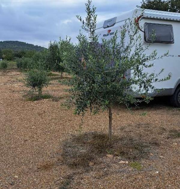 Hoofdfoto Aparcamiento Área de Autocaravanas de Biscarrués