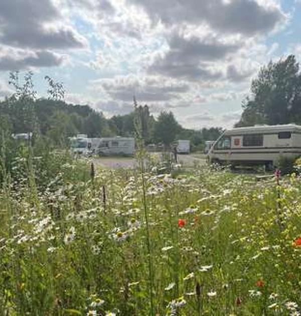 Hoofdfoto Aire de Camping-Car des Cygnes