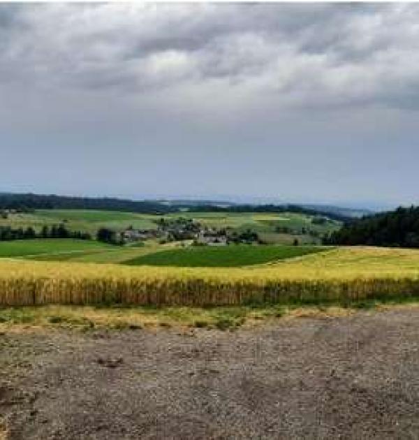 Hoofdfoto Landwirtschaftsbetrieb Käser