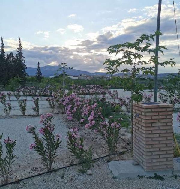 Hoofdfoto Casas Nuevas