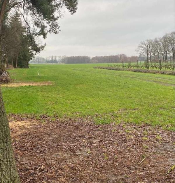 Hoofdfoto De Santspuy Wijn en Aspergeboerderij
