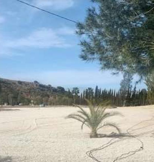 Hoofdfoto Rancho Purias