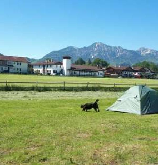Hoofdfoto Pferdehof zum Giggerer