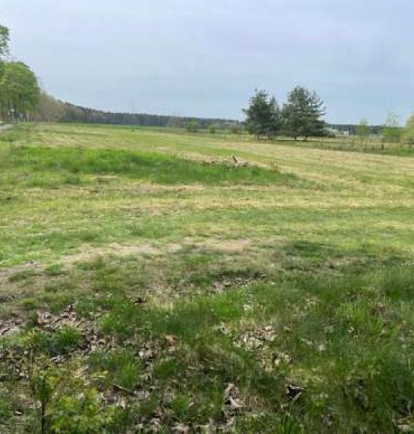 Hoofdfoto NaturPur