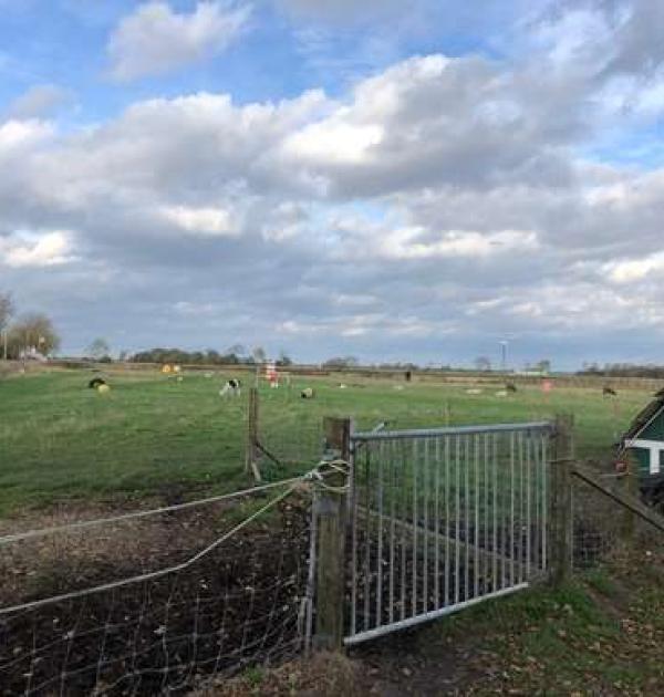 Hoofdfoto Hof Iggewarden