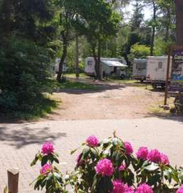 Hoofdfoto Camperpark Torentjeshoek