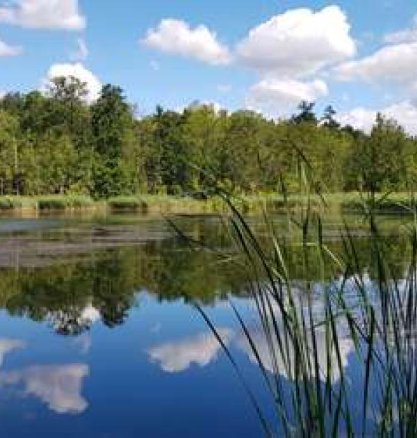 Hoofdfoto Landgut Stober