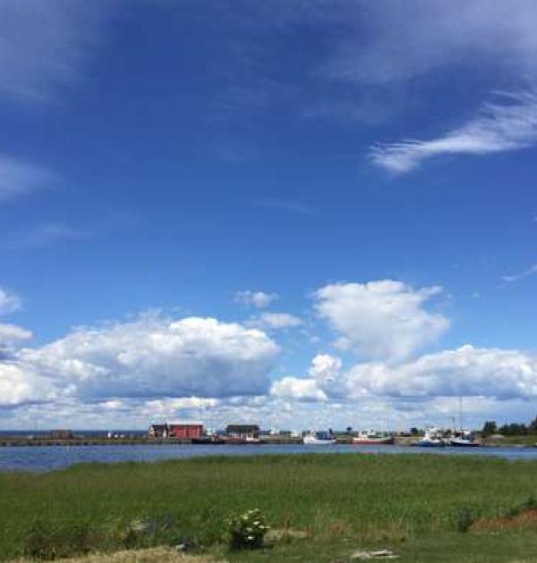 Hoofdfoto Grönhögens hamn