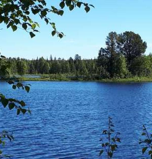 Hoofdfoto Juktådalen