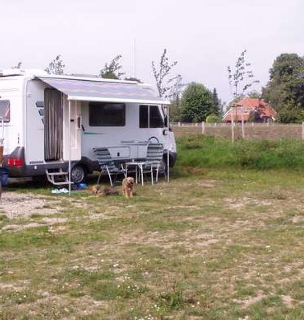 Hoofdfoto Paardensportcentrum Diekshuus