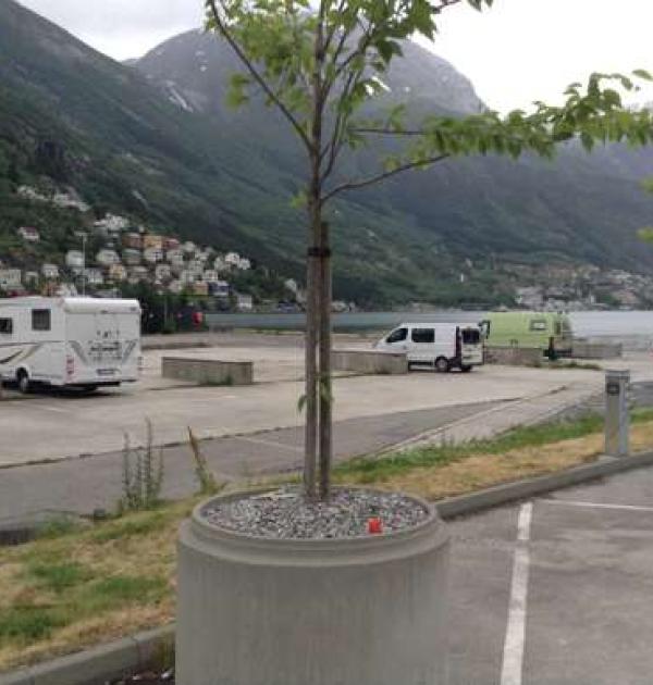 Hoofdfoto Camp Lothepus